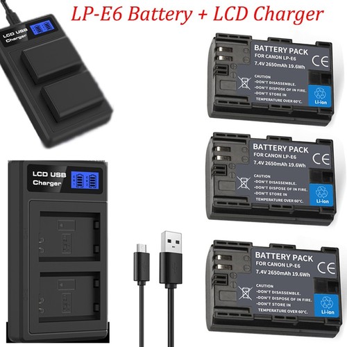 Caricabatteria lcd batteria - caricabatteria,